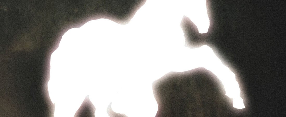 Atrás hay truenos: El amor no salvará